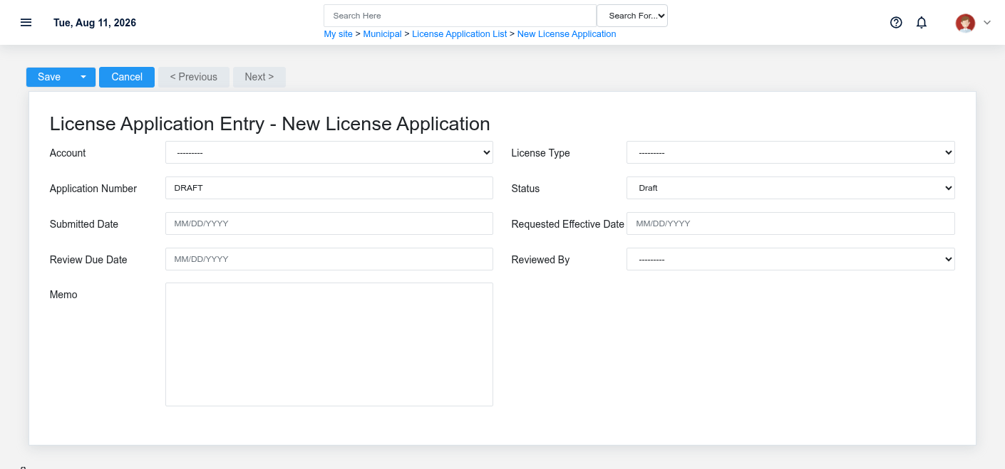 License Application form for fictional application DOC-BIZ-1001 in Exampleville.