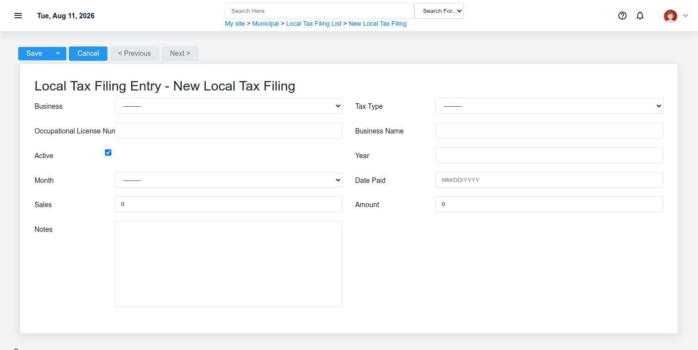 Brisk Local Tax Filings create screen displayed with fictional documentation-demo data.