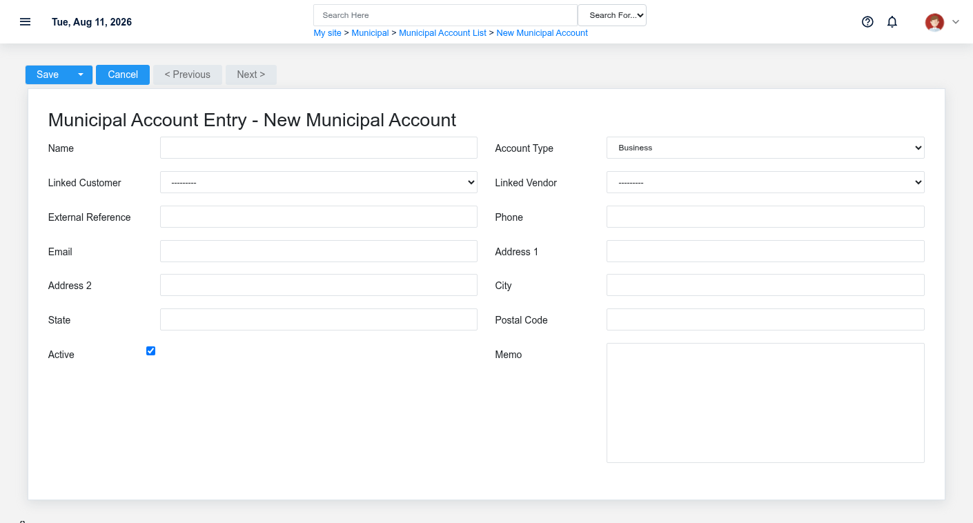 Brisk Municipal Accounts create screen displayed with fictional documentation-demo data.