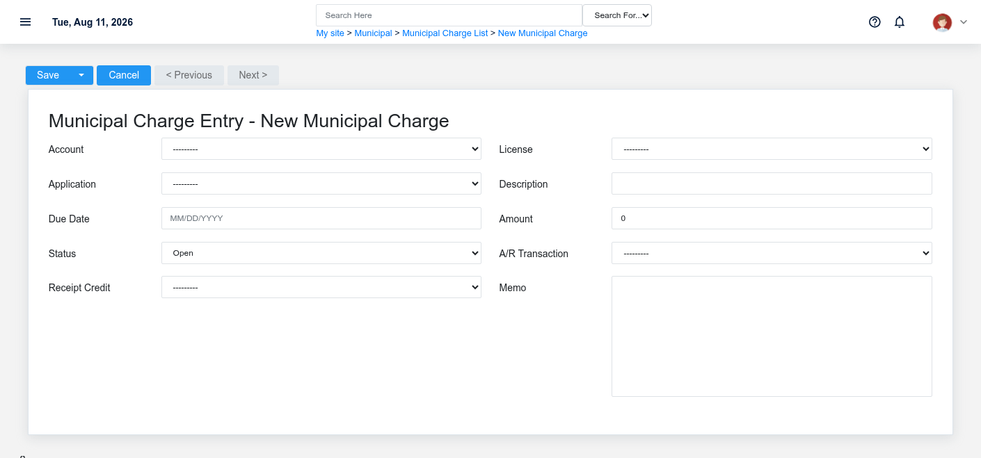 Brisk Municipal Charges create screen displayed with fictional documentation-demo data.