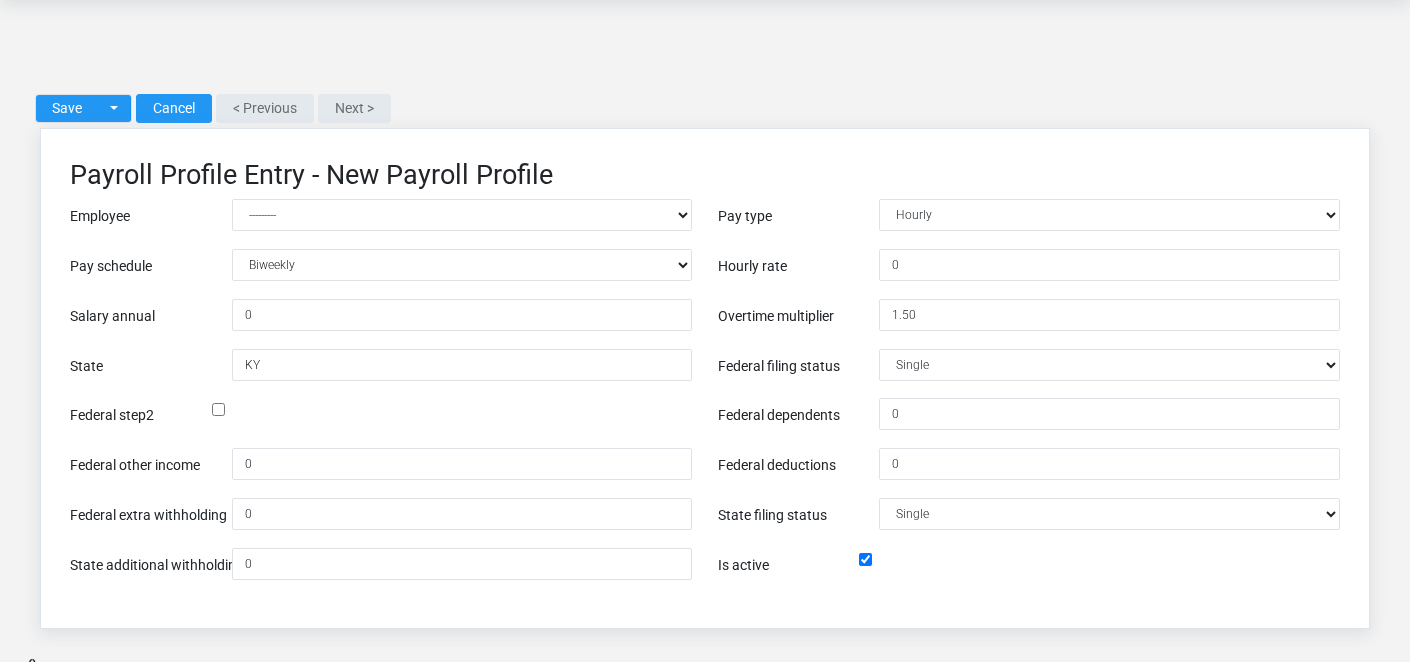 Brisk Payroll Profiles create screen displayed with fictional documentation-demo data.