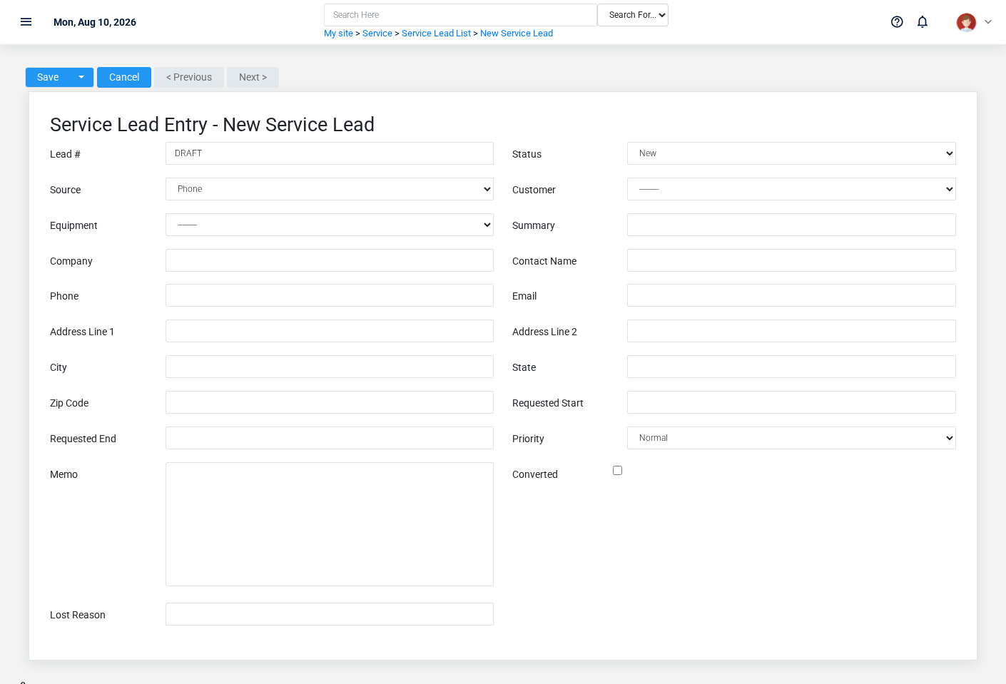 Brisk Service Leads create screen displayed with fictional documentation-demo data.