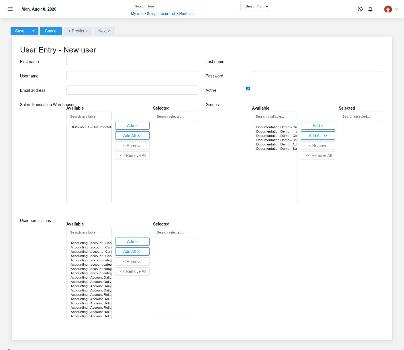 Brisk Users and Access create screen displayed with fictional documentation-demo data.