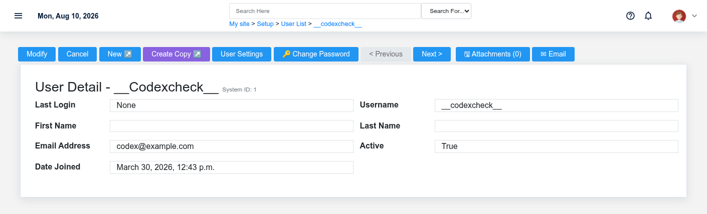 Brisk Users and Access detail screen displayed with fictional documentation-demo data.