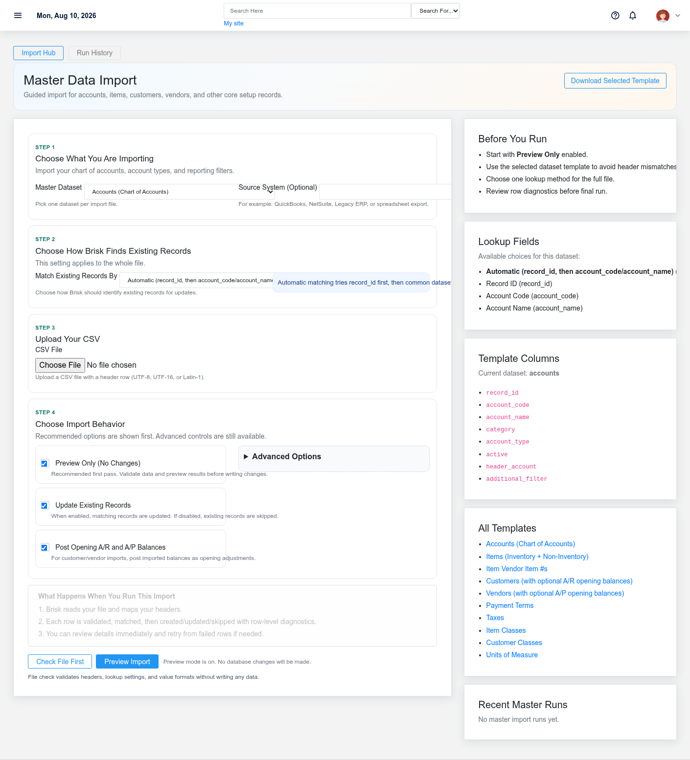 Brisk Data Import master screen displayed with fictional documentation-demo data.
